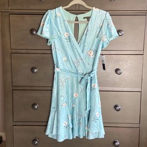 NWT Sage Dress with Ivory Flowers